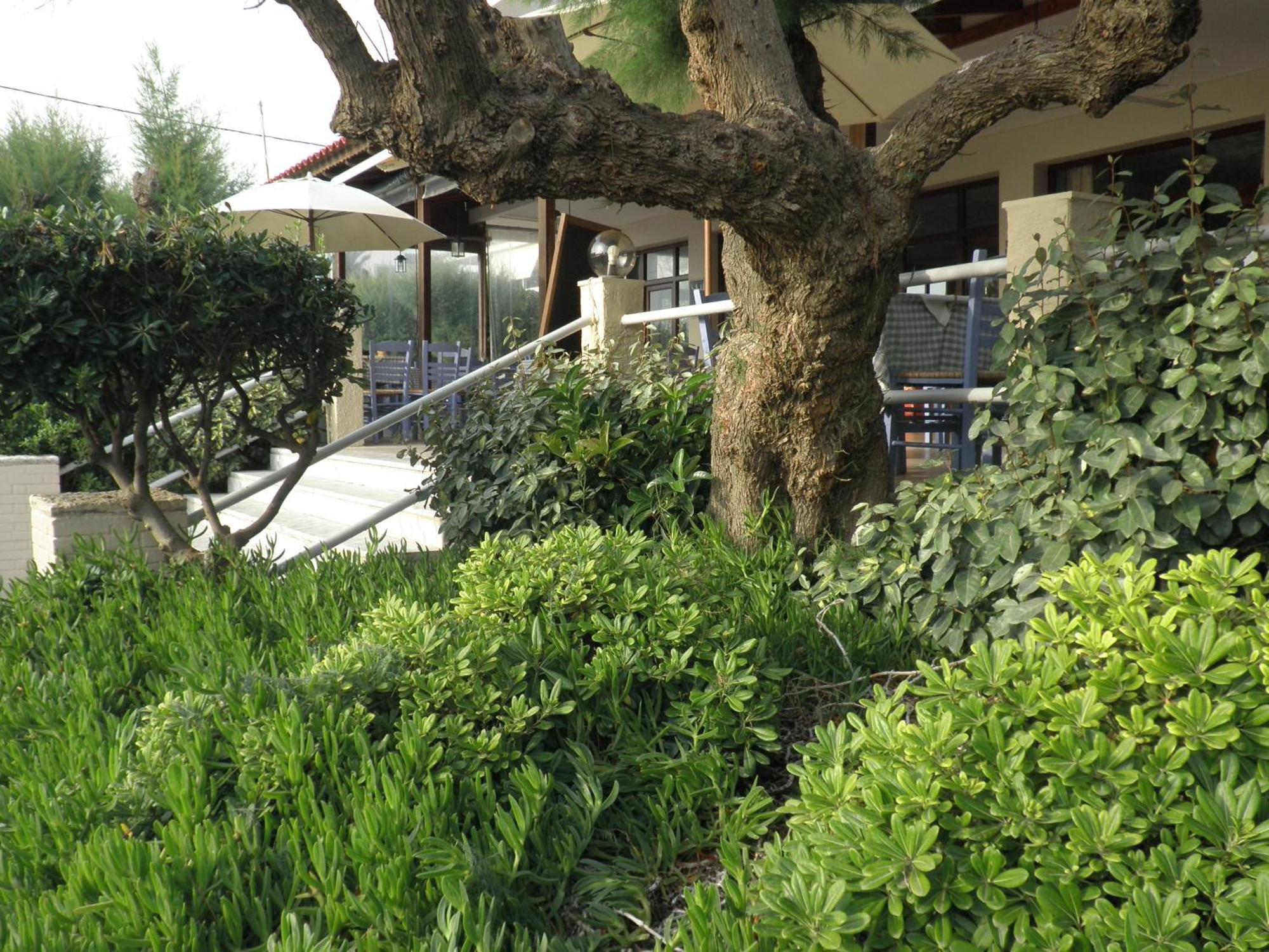 Akrogiali Kyparissia Exterior photo